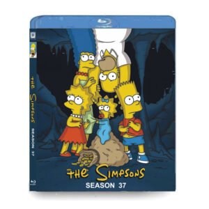 The Simpsons Season 37 (2BD) Blu-ray